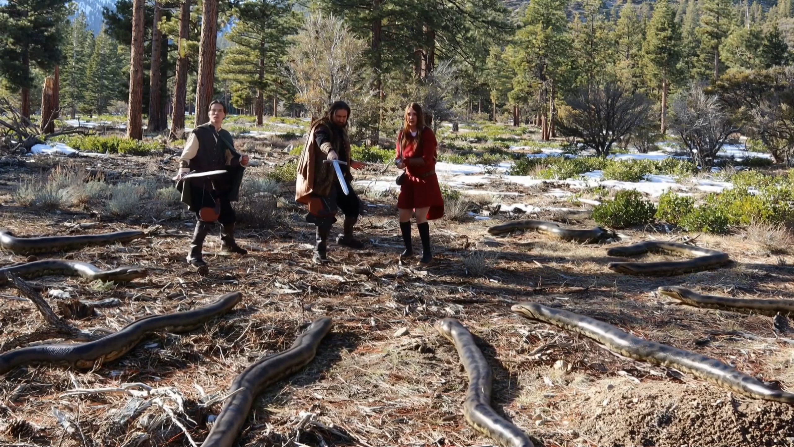 Where the Forest Leads